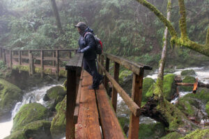 a woman stands on a narrow boardwalk going over a river with mossy rocks