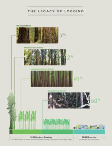 an infographic titled "The Legacy of Logging" which shows a line that represents the percentage of forests that are old-growth, mature second-growth, or other kinds, as well as acres lost