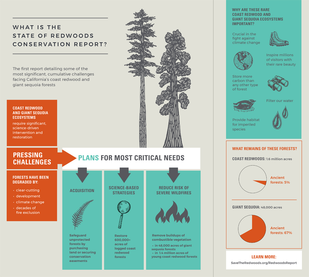 an infographic title "What is the State of Redwoods Conservation Report?" featuring illustrations of trees