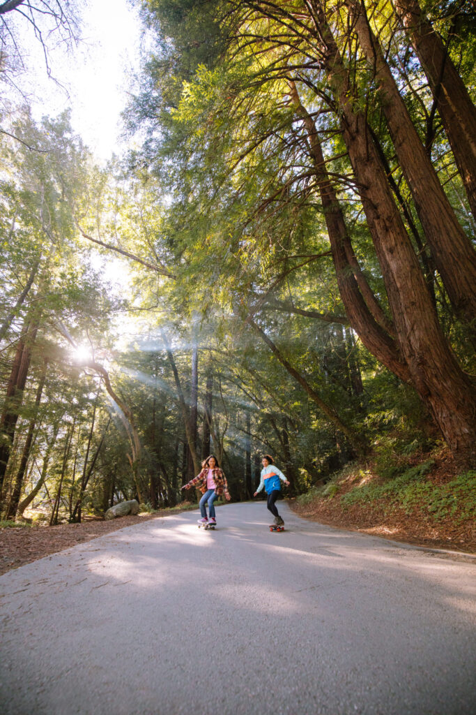 two people skateboard down a wide path flanked by tall trees as the sun is caught in the canopy