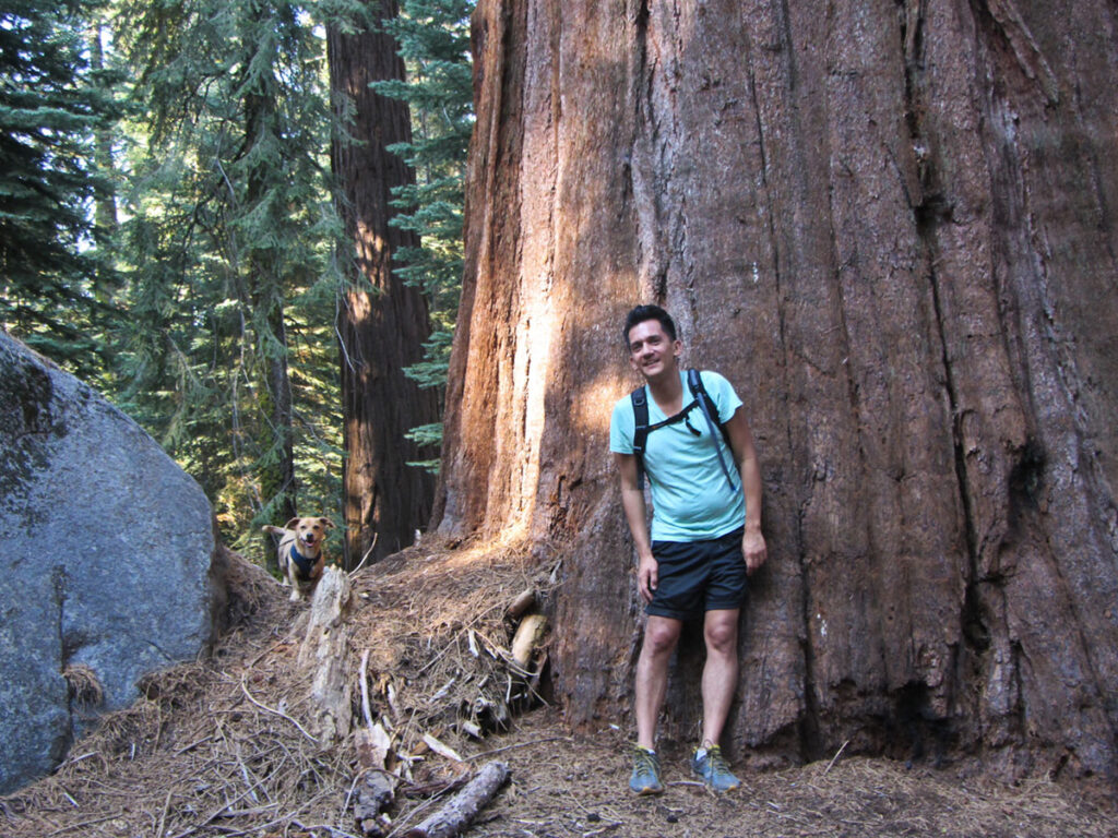 a man poses in front of a tall tree while a dog stares from further in the background