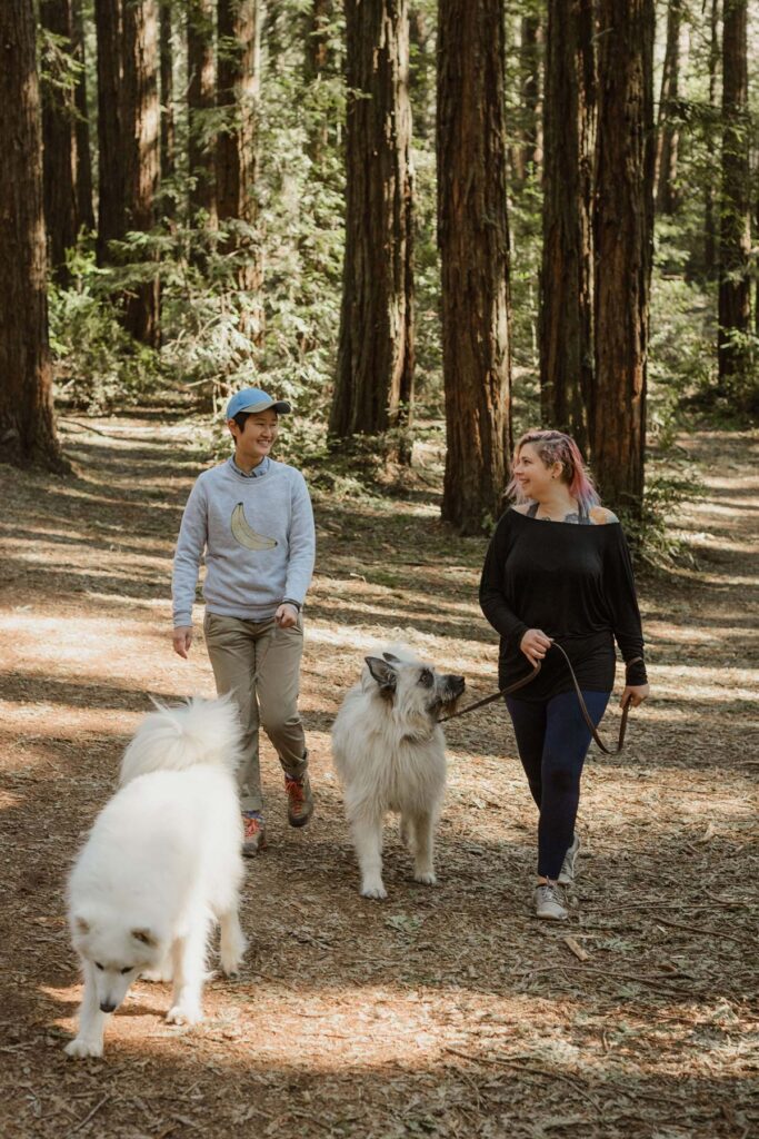 Two people and two dogs in a redwood forest walk side by side
