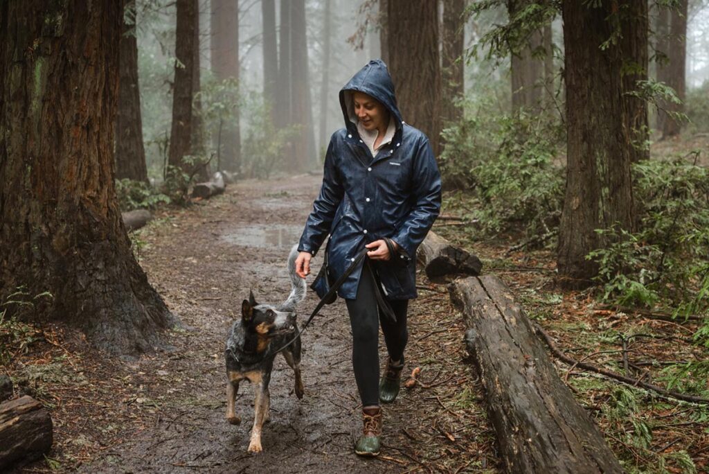 A person in a rain jacket walking a dog in the wet forest along a trail with a fallen log to their right