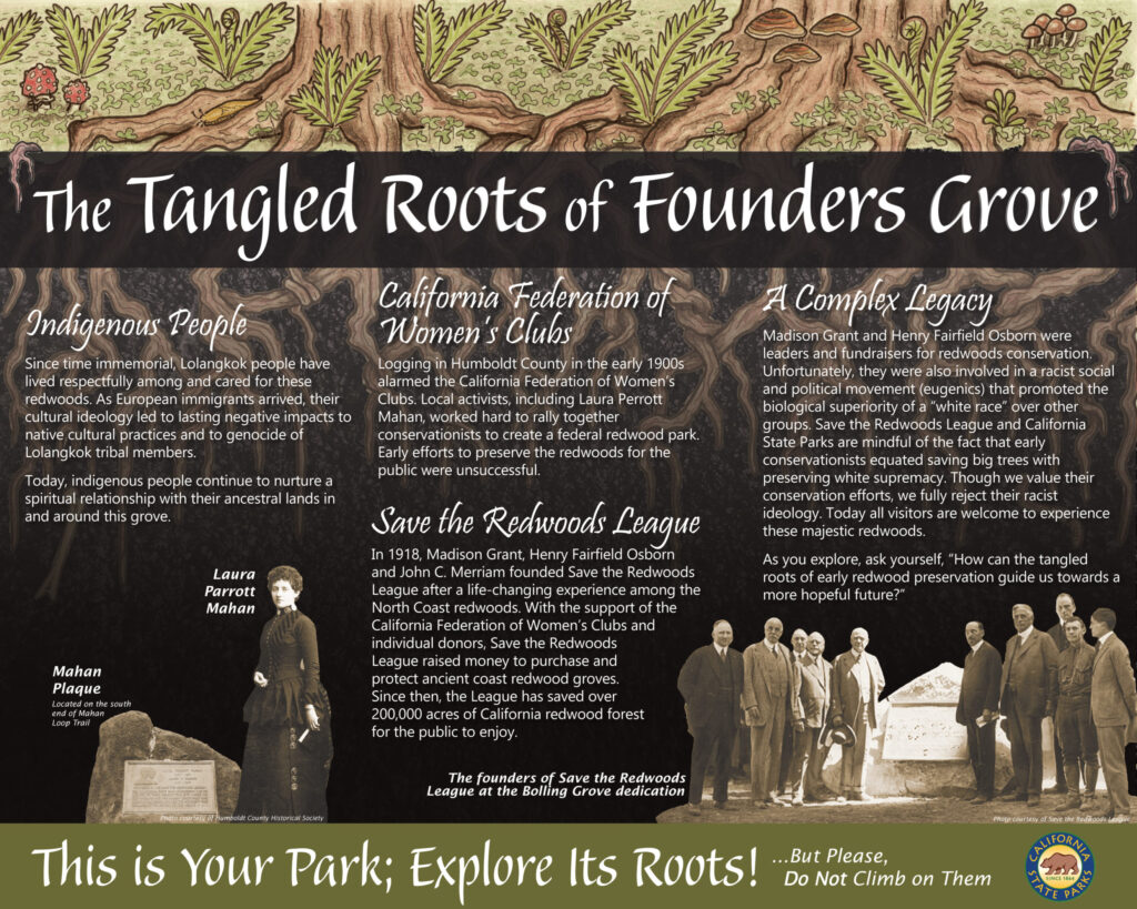 an infographic that reads "Tangled Roots of Founders Grove"