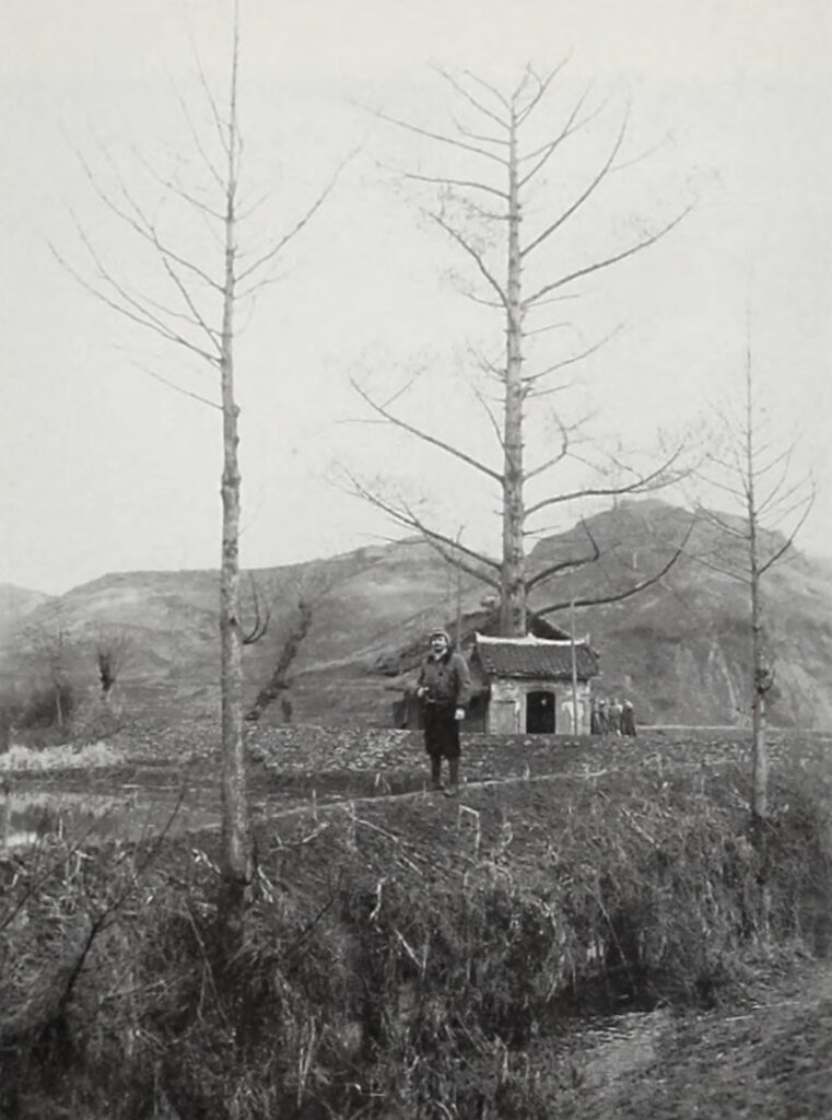 black and white photo of a man standing in a field, with two thin trees without leaves. there is also a small hut and a hill beyond the hut in the background