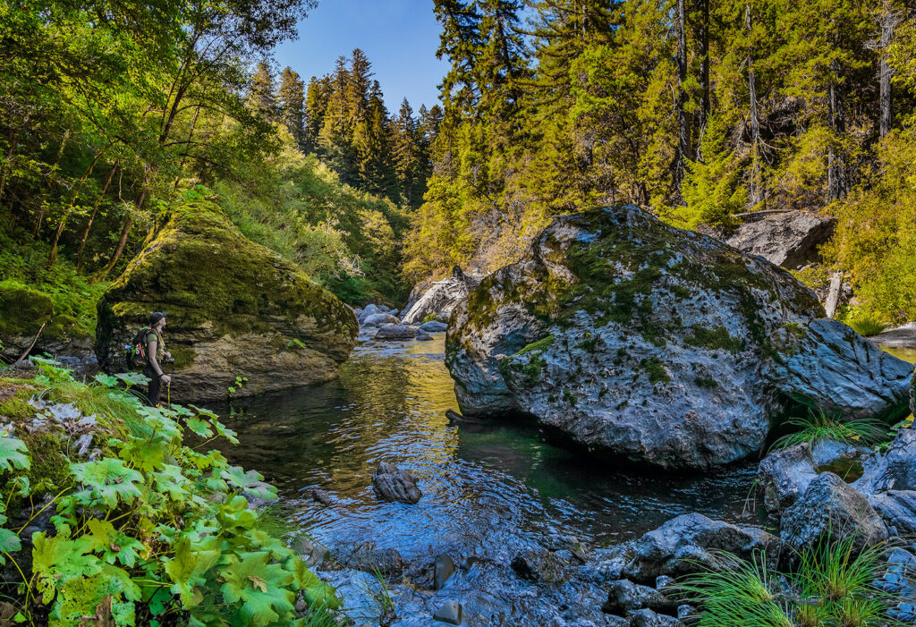 A woman stands along a creek with large mossy rocks surrounded by lush forest.