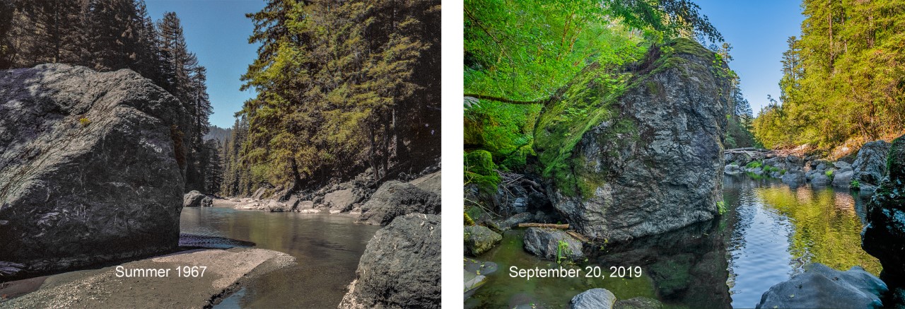 Images of a creek with a large rock surrounded by forest, the one on the left shot in summer 1967 and the one on the right shot on September 20, 2019, showing deeper water.