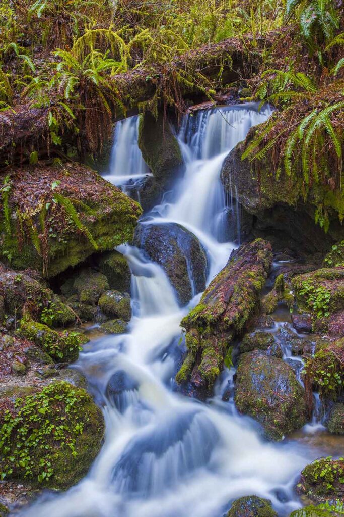 a Waterfall cascading over mossy rocks