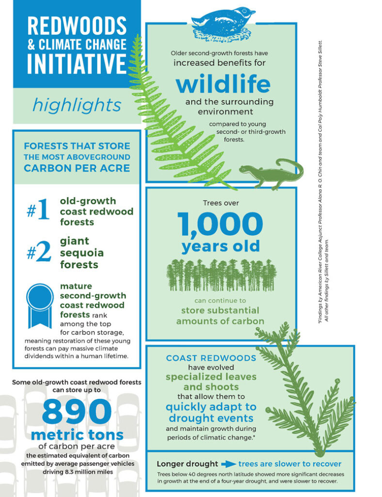 infographic in blue and green, showcasing "Redwoods & Climate Change Initiative Highlights"
