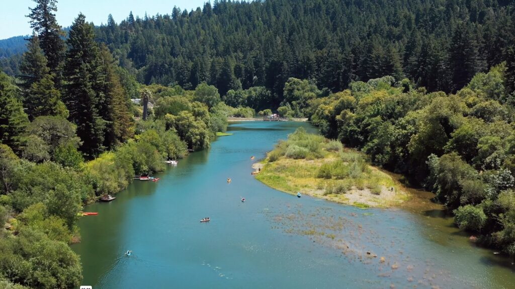 a river bank with small recreational boats, flanked by tall forests 