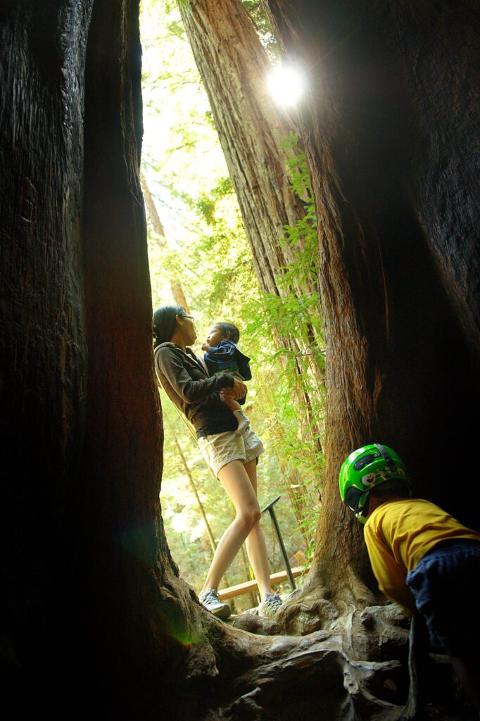A woman carries an infant in her arms as a kid with a green helmet crawls in the foreground on the inside of a tree hollow