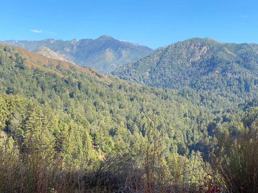 scenic vista of redwood studded mountains on a sunny day