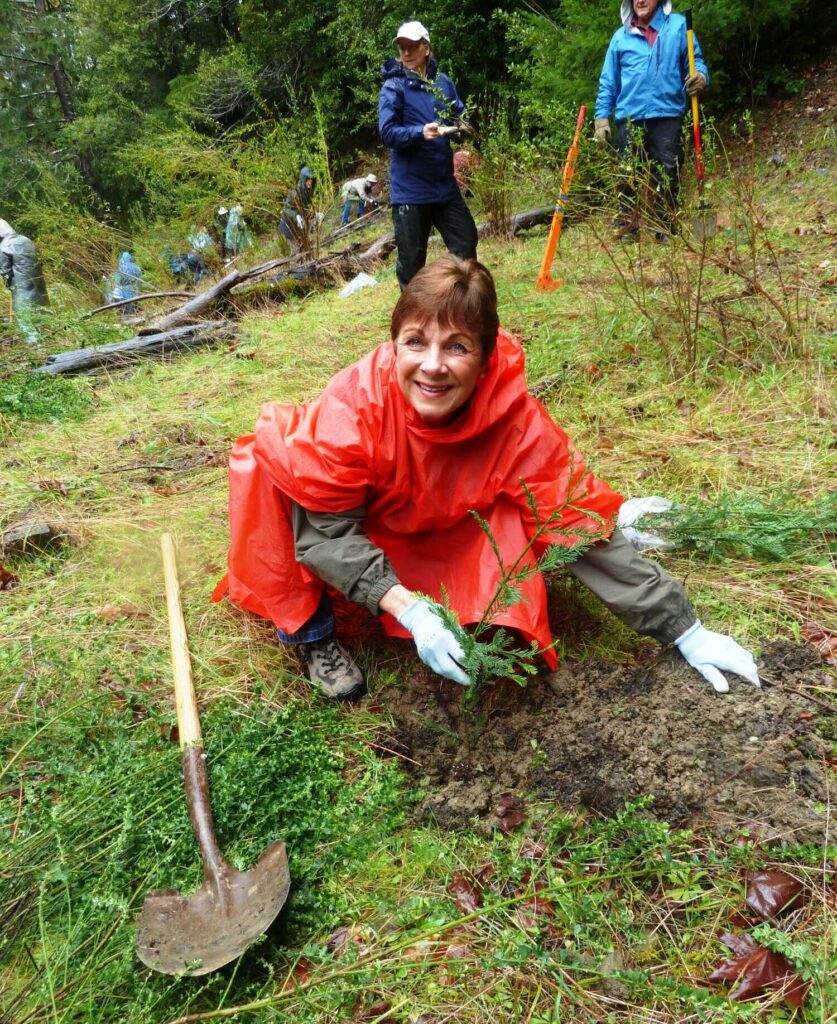 a woman with short hair wearing a red rain poncho and white gloves smiles as she prepares to plant a redwood sapling