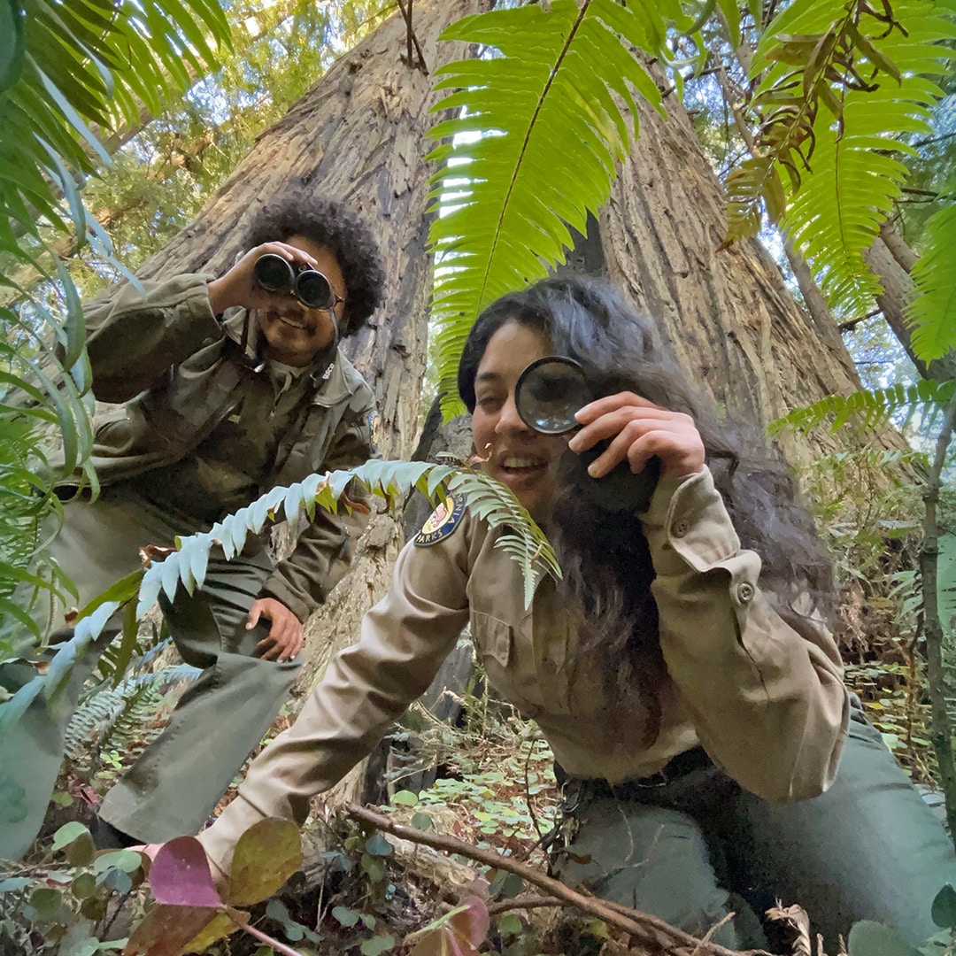 Karla Jovel and Kyle Buchanan crouching in ferns before 2 redwoods holding binoculars and a magnifying glass, in their park ranger uniforms.