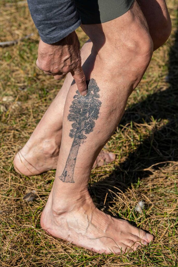 Armando Quintero points to a black and white tattoo of a giant sequoia on the outside of his calf, extending from just below his knee down to the top of his ankle.