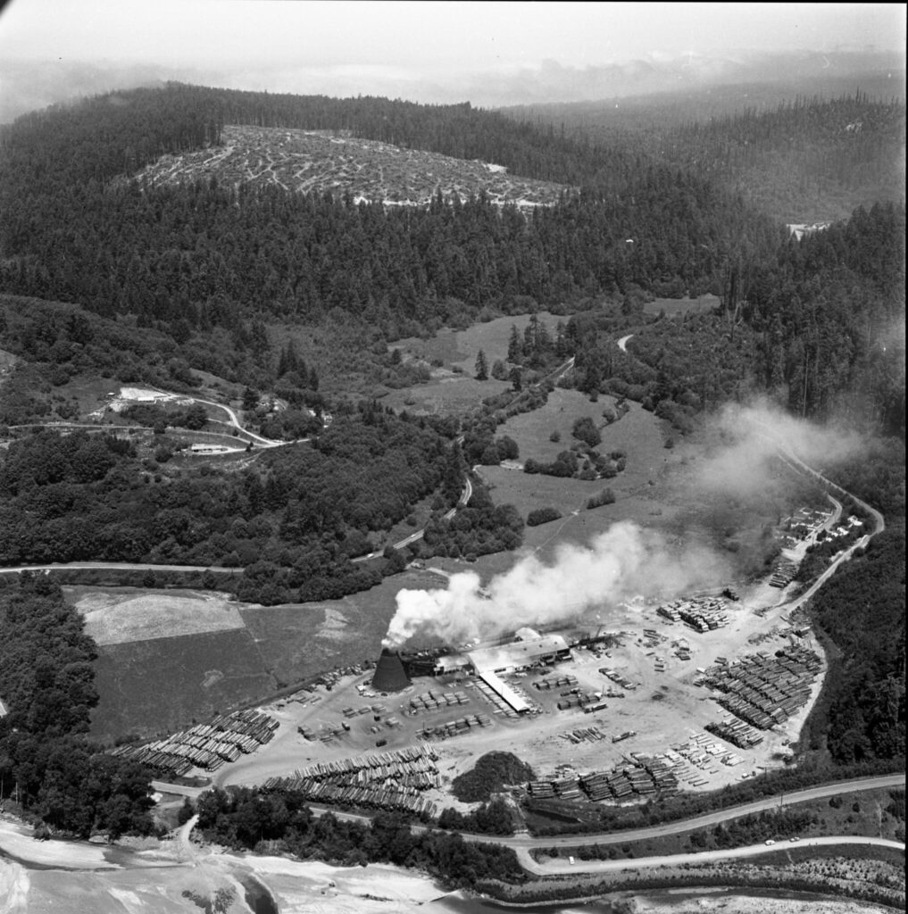 Black-and-white photo of a landscape with stacked redwood logs and a smokestack in the foreground
