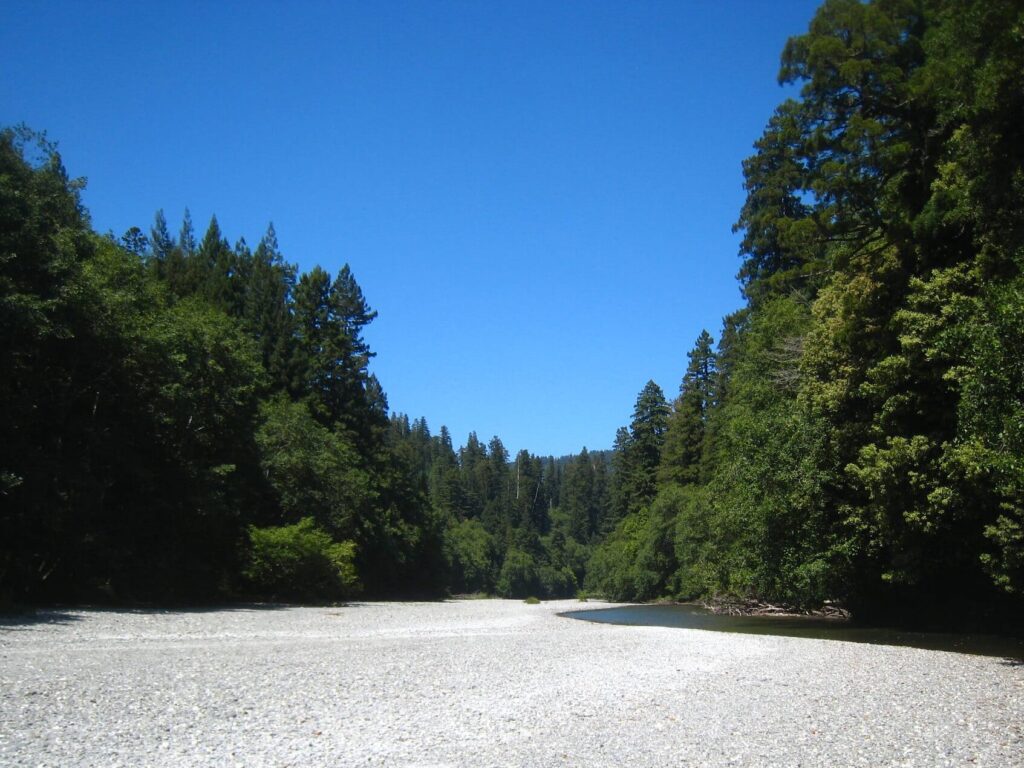 Gravel bars in Redwood National Park along a creek