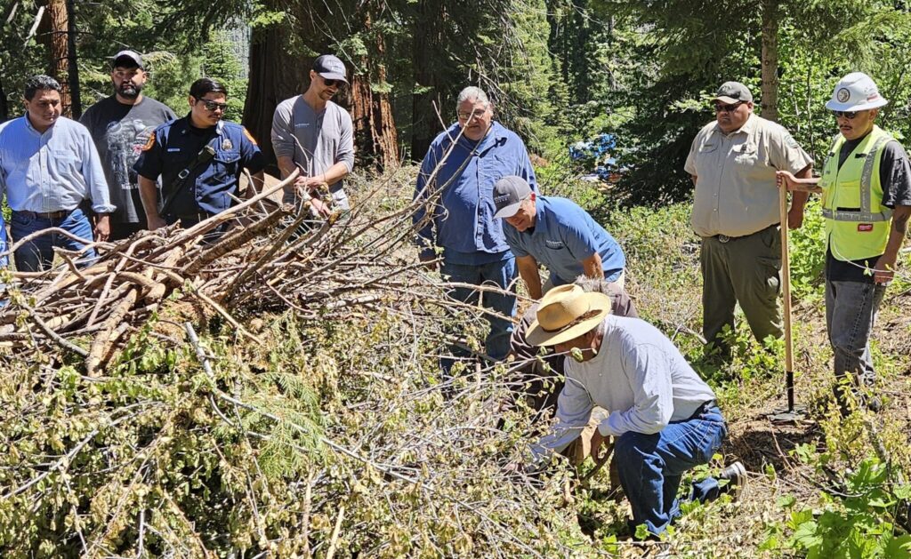 A group of men, some wearing hard hats and safety vests gather around a pile of brush. a man wearing a straw hat kneels toward the pile.