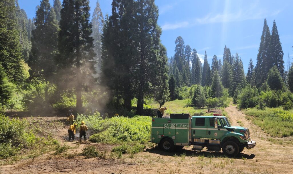 Firefighters in yellow safety gear work in a meadow near a light green firetruck. Tall sequoia trees stand in the background.
