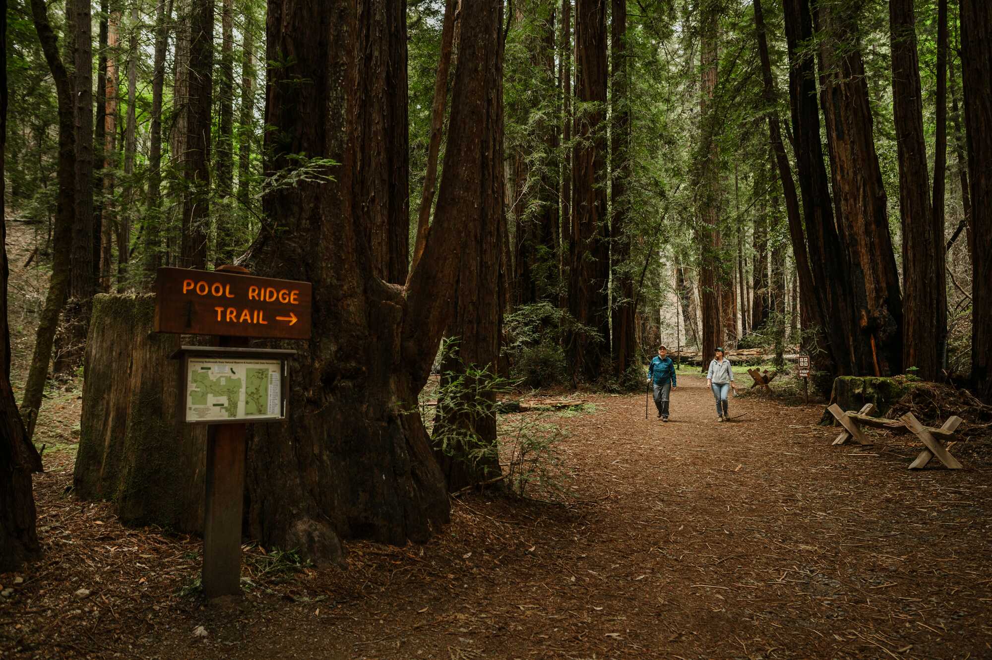 trailhead with "POOL RIDGE TRAIL" written on it, as two people, one with a hiking pole, walk in the distance