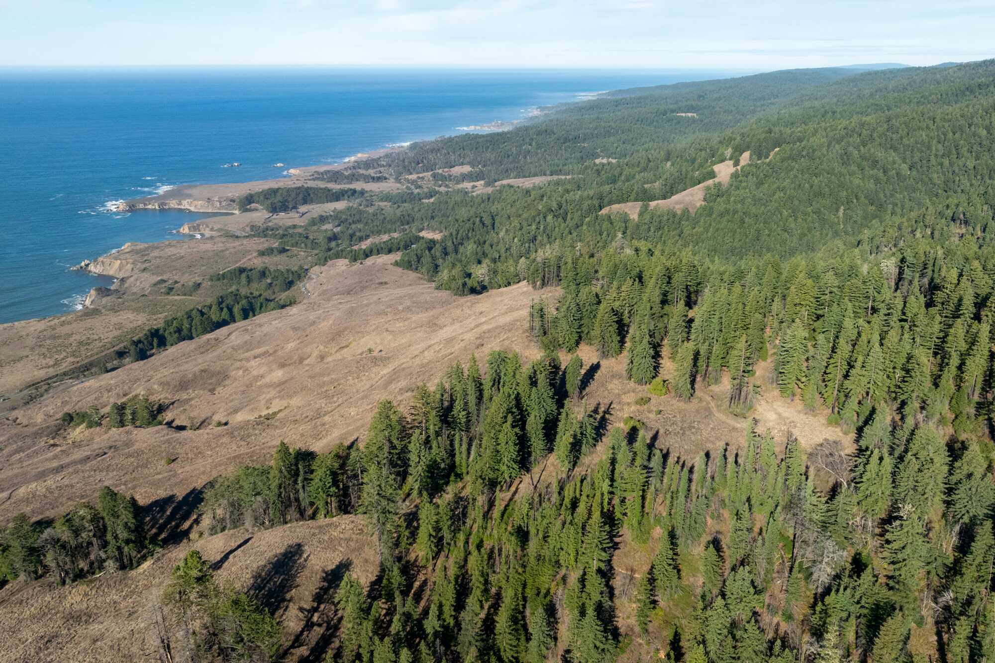 An aerial view of redwood forest and golden grassland with the Pacific Ocean in the distance.