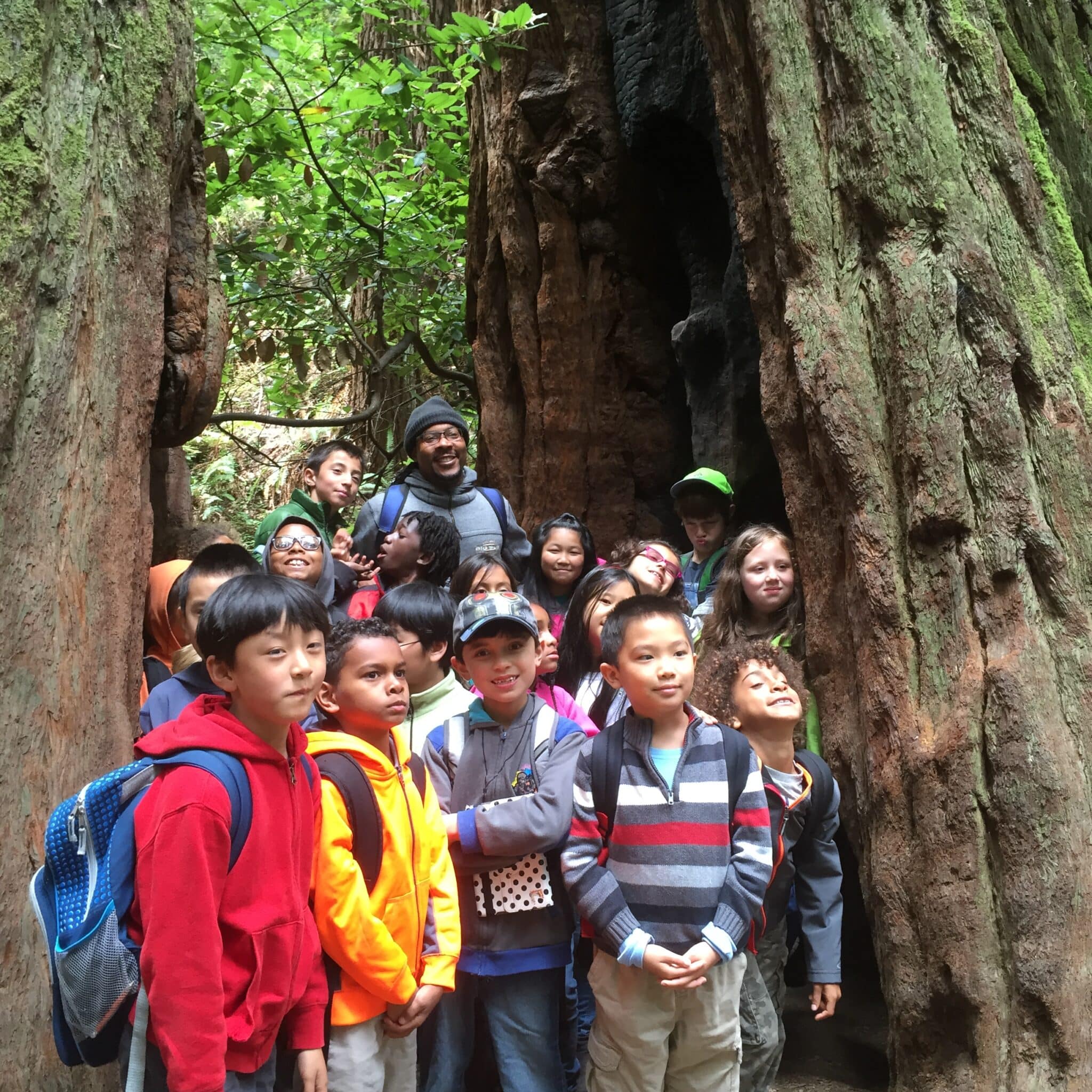 group of kids standing in redwoods tree