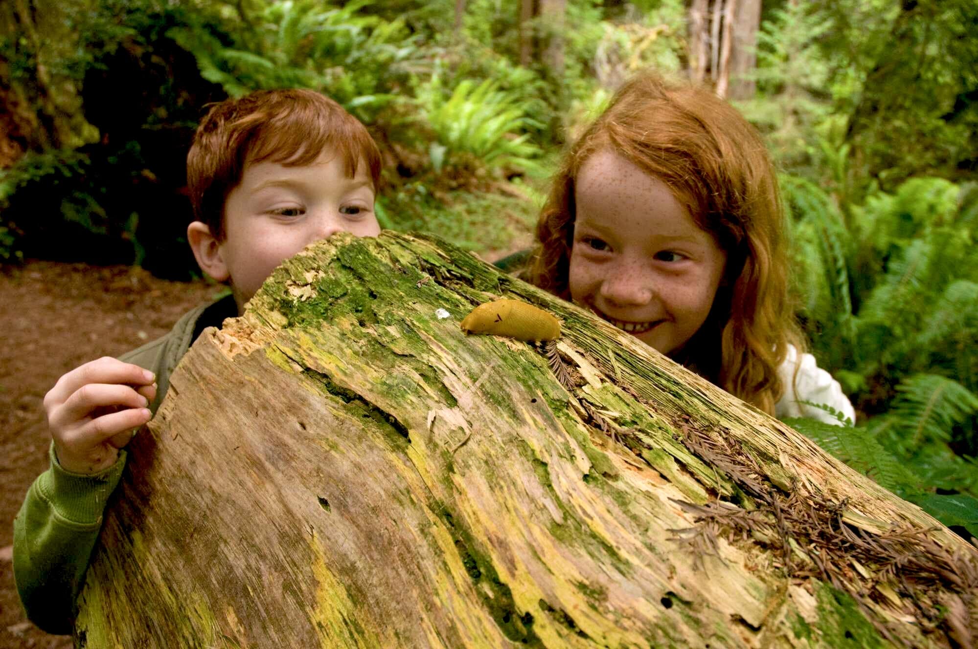 Two smiling red-headed children peek at a banana slug perched on a log.