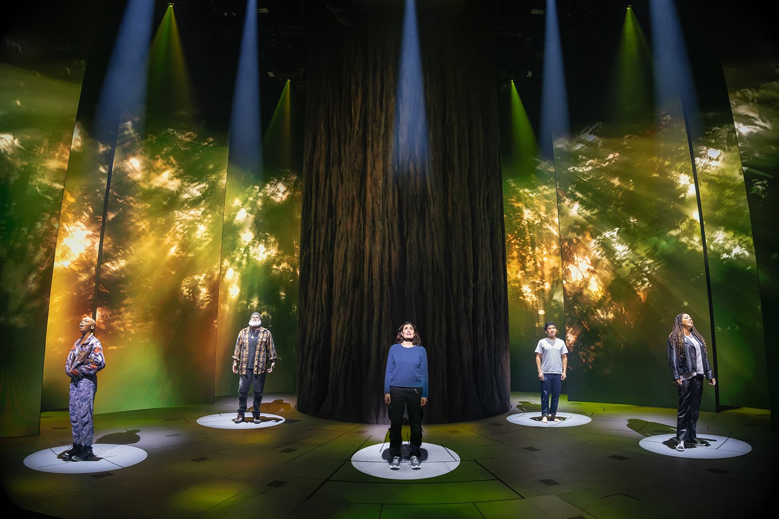 Five cast members stand in separate spotlights onstage, framed by a towering redwood tree and shifting forest imagery.