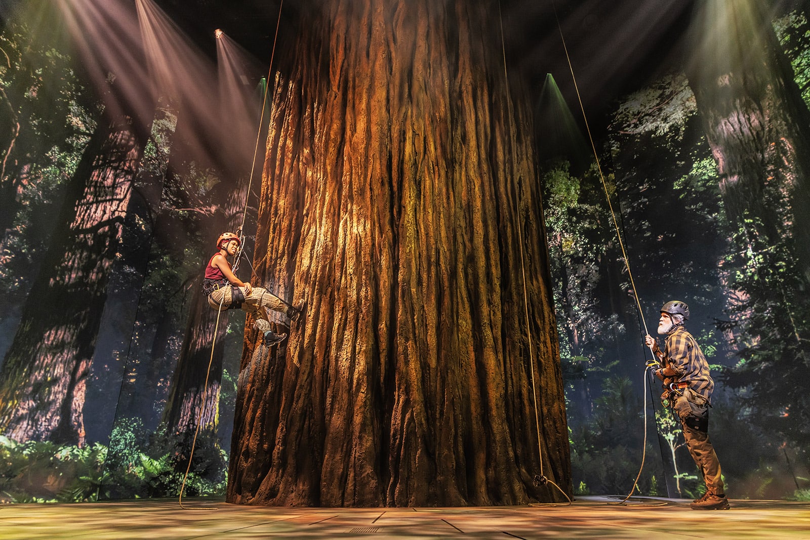 Two people each hold climbing ropes on opposite sides of a massive redwood trunk, spotlighted against a forest backdrop.