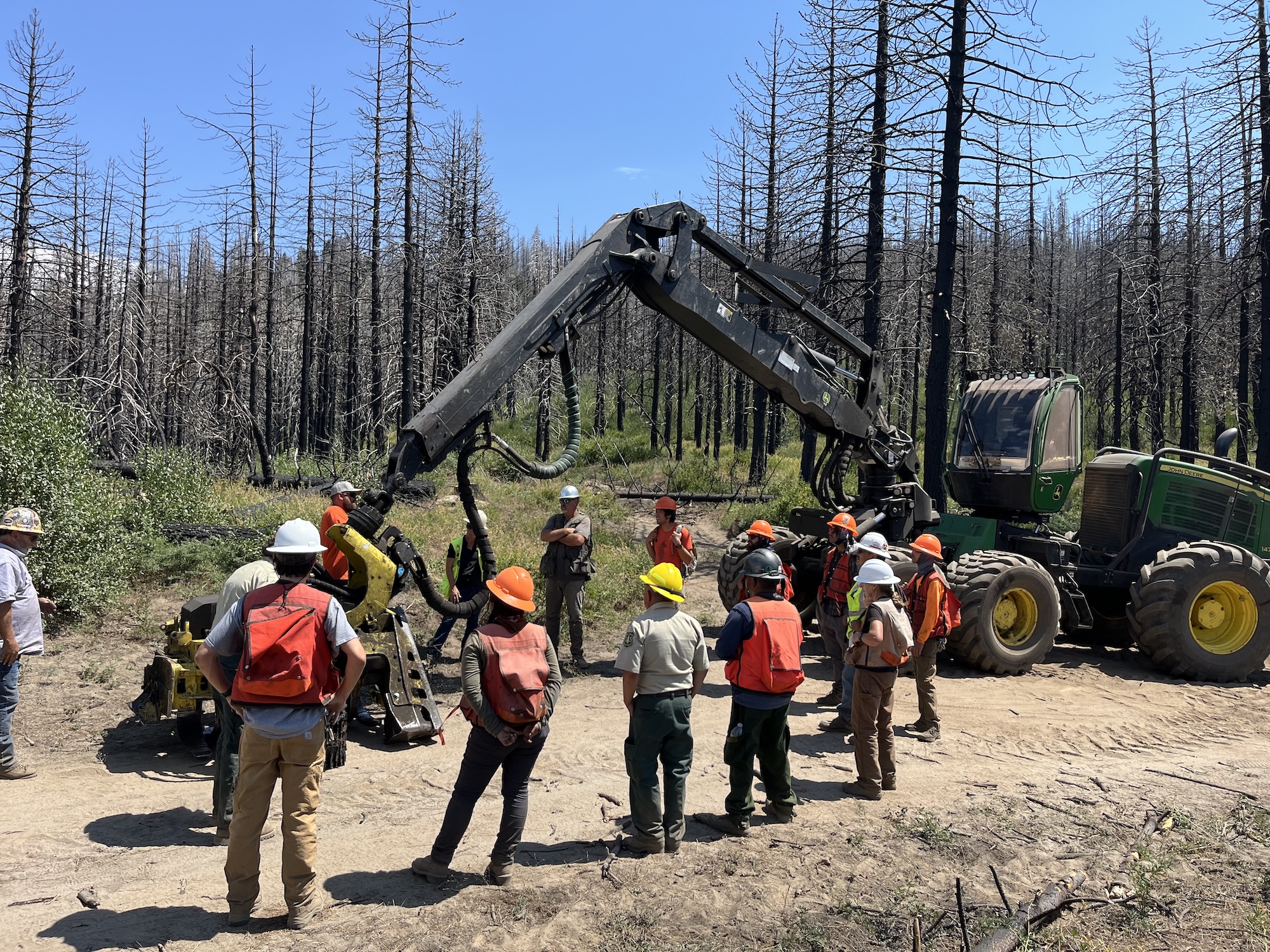 Several people wearing hardhats and hi-viz gear with their backs to the camera observe an excavator and burned trees in the background
