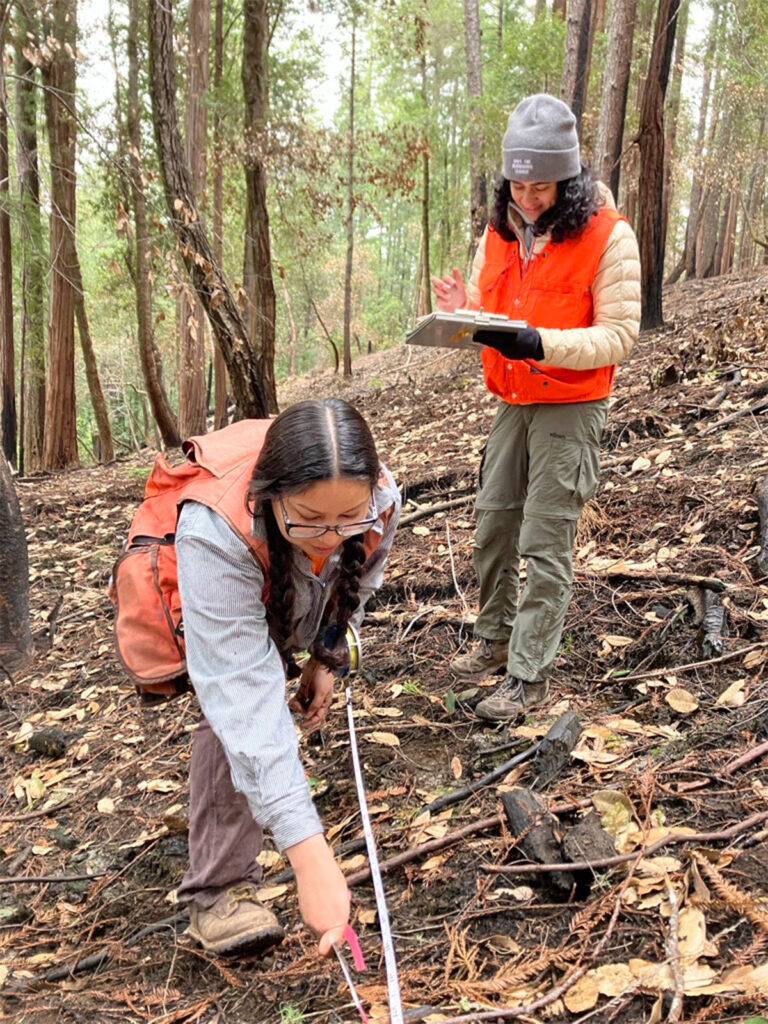 Two women of color wearing orange work vests standing in a redwoods forest collecting field data. One is holding a clipboard and pen, while the other appears to be taking measurements.