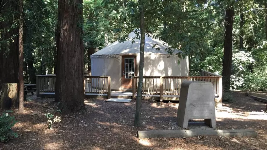 A yurt sits behind a tree and a fenced enclosure