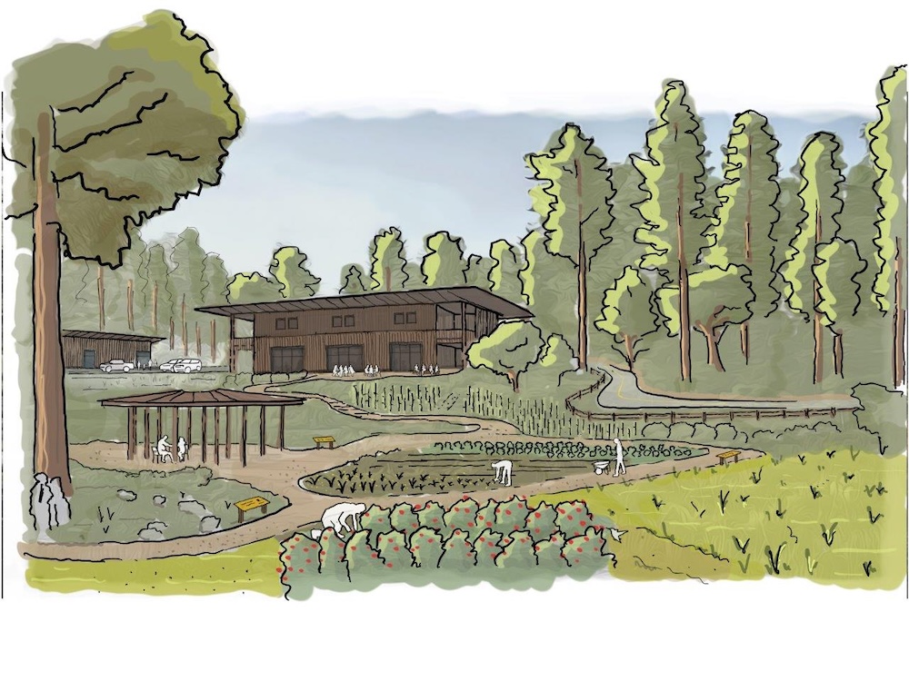A drawing of a cabin surrounded by trees