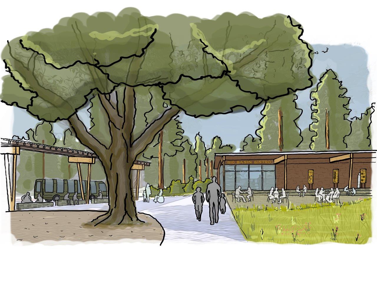 A drawing of a tree beside a walking path