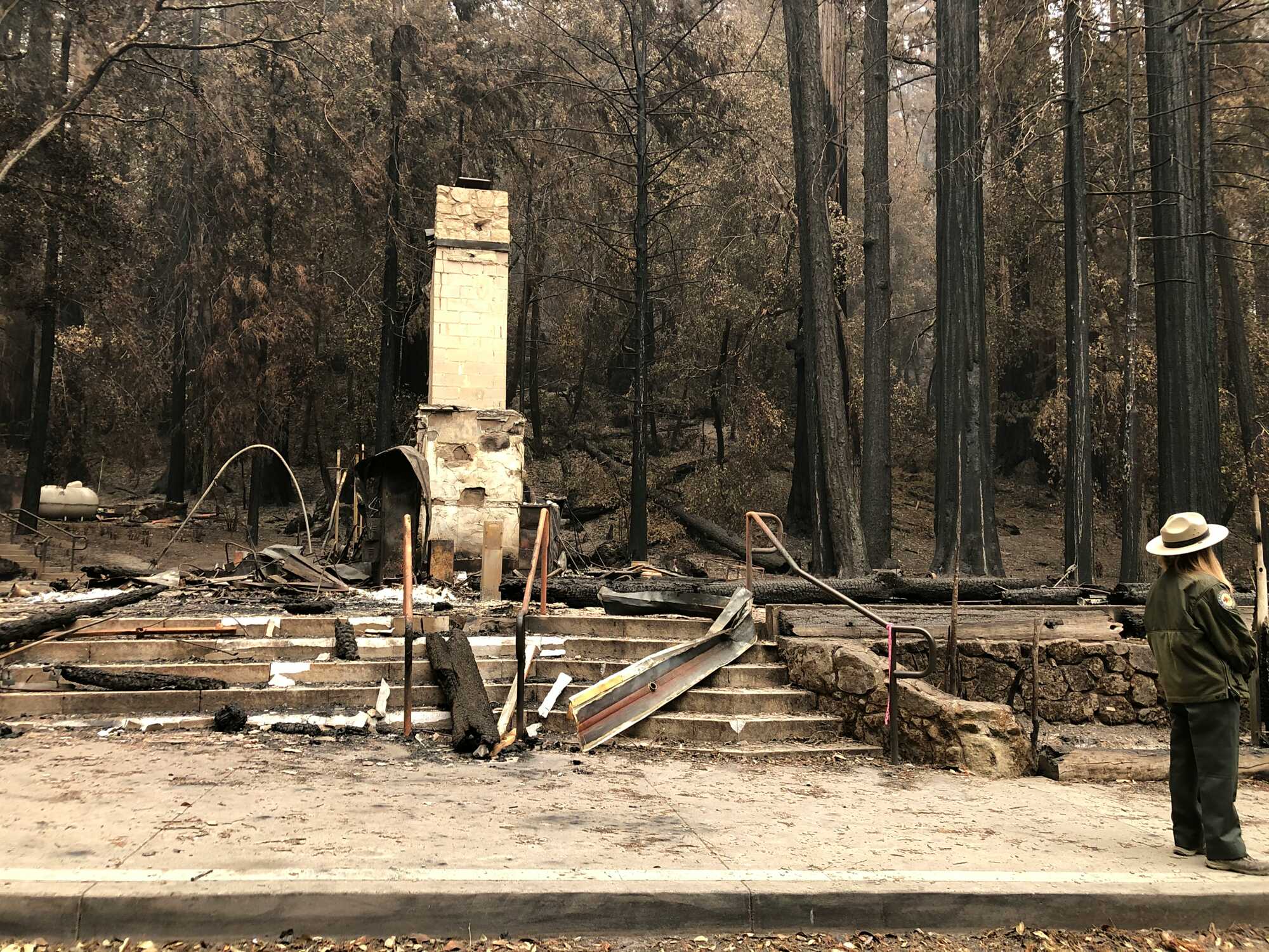 Staircase with broken tree bits that lead to a pillar against a forest background 