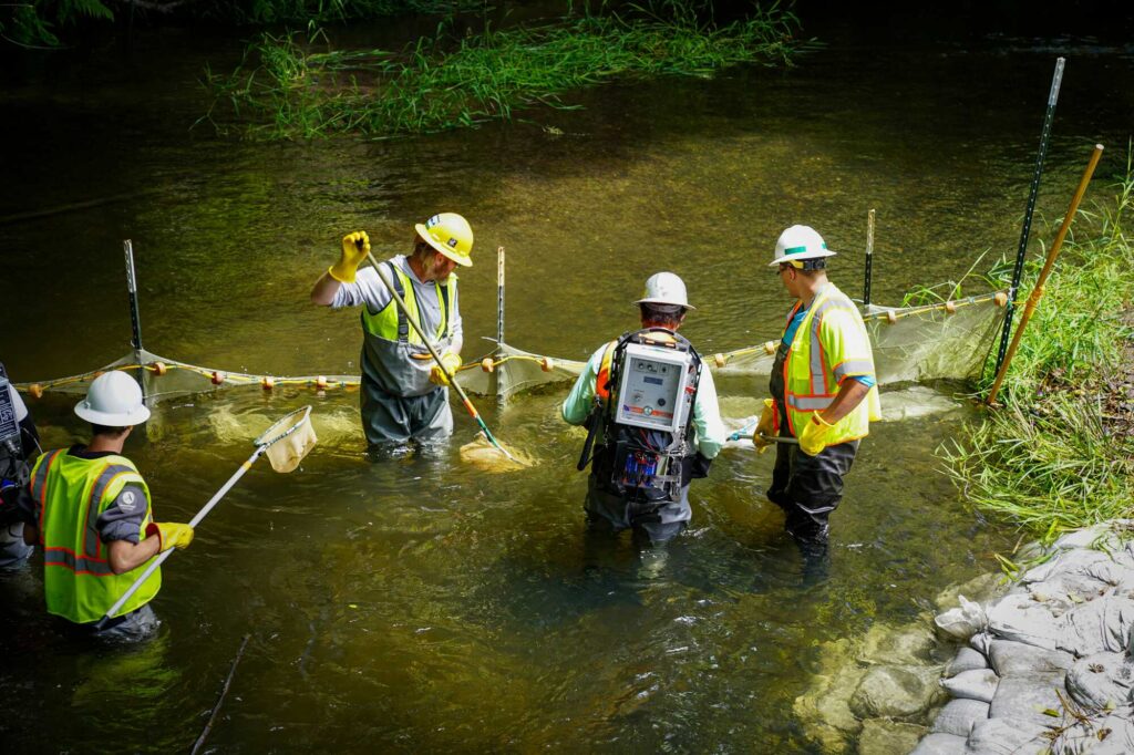 A group of men in hi-viz uniform and hard hats are knee-deep in a creek holding nets at the end of poles. There is a netted boundary in the water