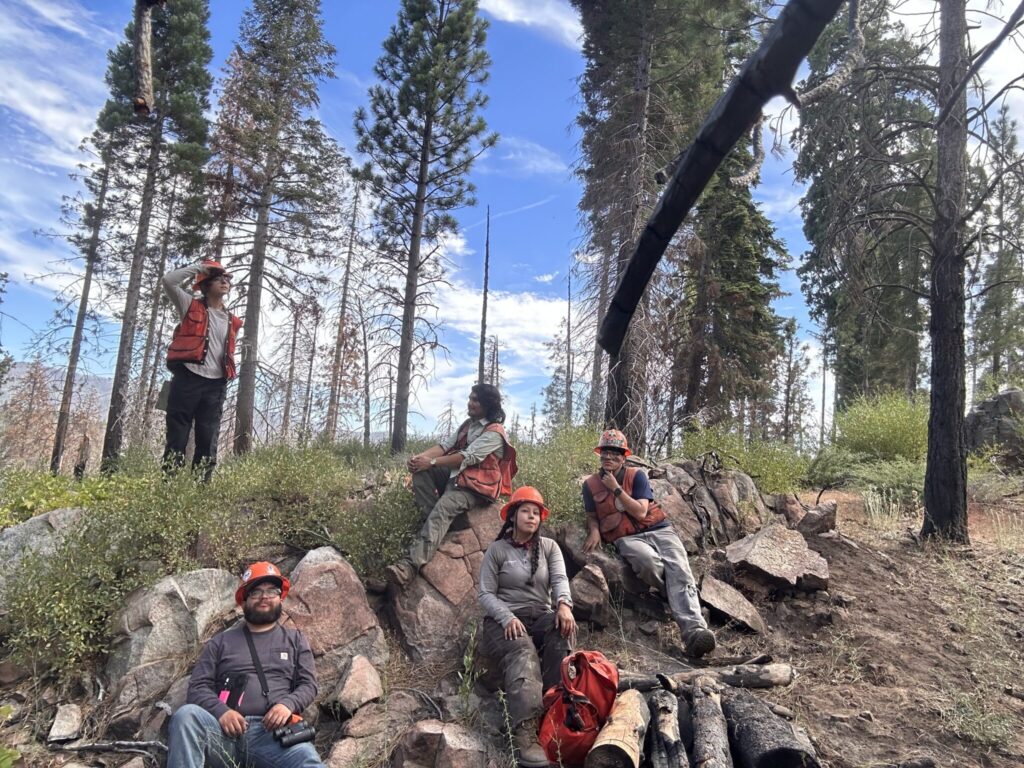 A group of forestry apprentices rest on rocky surfaces surrounded by tall pine trees