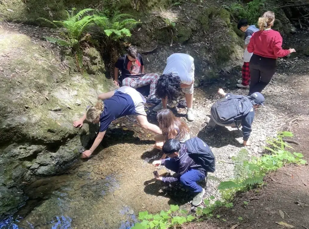 Photo from above looks down on a group of students investigating the bed of a small creek.