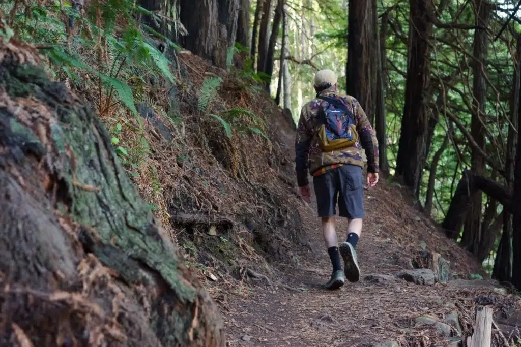 Photo depicts the back of a hiker as he walks up a loamy forest trail in a redwood grove.