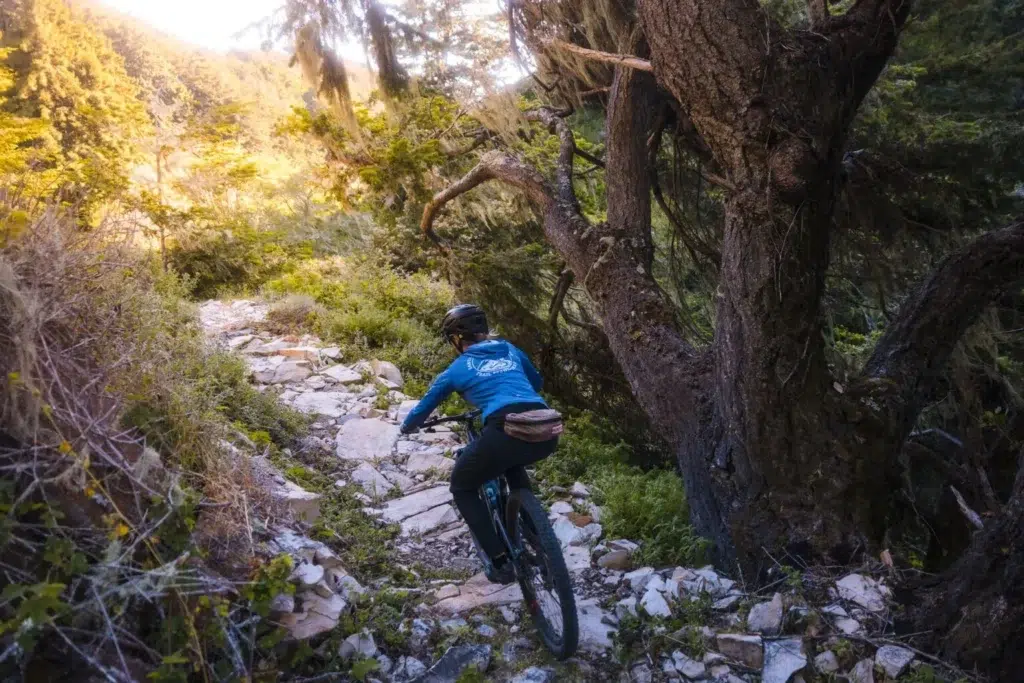 A mountain biker rides down a rocky path in shadow toward bright clearing.