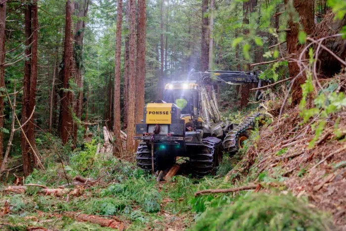 a large harvester with both headlights on is pictured in the middle of a dense forest with thin trees